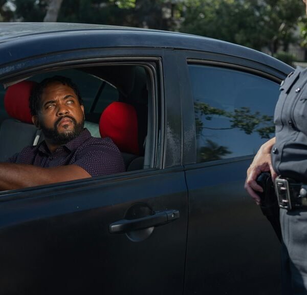 high authority traffic marketing