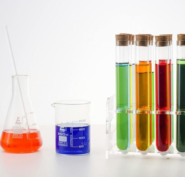 traffic growth seo services