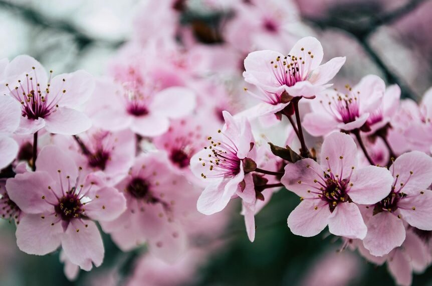 website seo for growth